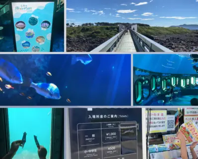 玄海海中展望塔ni訪れた体験写真